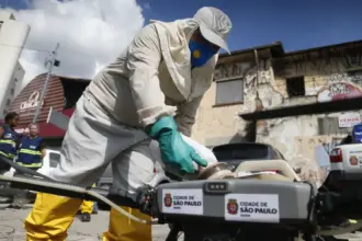 SÃO PAULO (SP): município registra quase 49,9 mil casos e 10 mortes por dengue em 2025