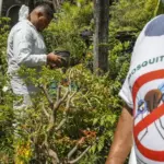 SÃO PAULO: estado registra 721 mil casos e mais de 600 óbitos por dengue em 2025