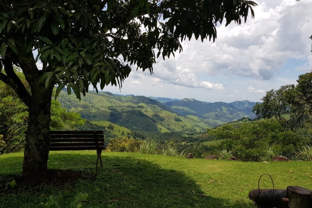 Vista da Serra da Mantiqueira com montanhas, uma árvore e um banco de madeira embaixo dela 