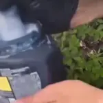 Drogas em potes de creme: esquema é desmantelado em Goianésia