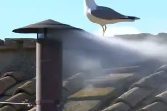 Fumaça branca é vista do teto da capela sistina, o que indica que papa foi escolhido