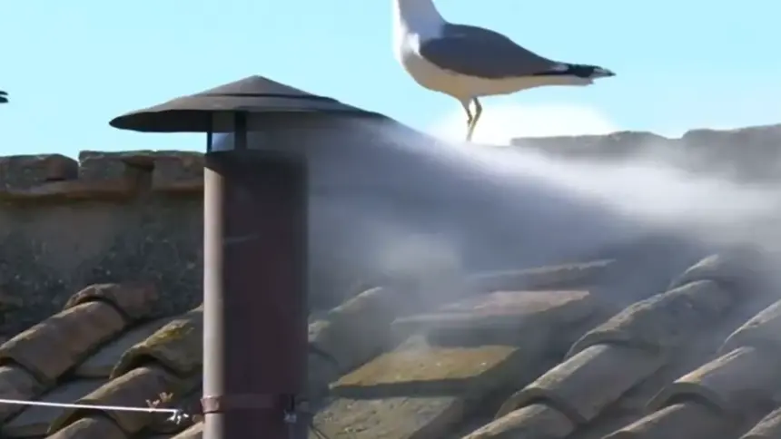 Fumaça branca é vista do teto da capela sistina, o que indica que papa foi escolhido