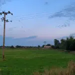 Vila Propício e regiões rurais terão interrupção no fornecimento de energia elétrica nesta terça