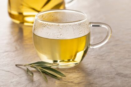 5 receitas de chá de oliveira para combater a gordura abdominal