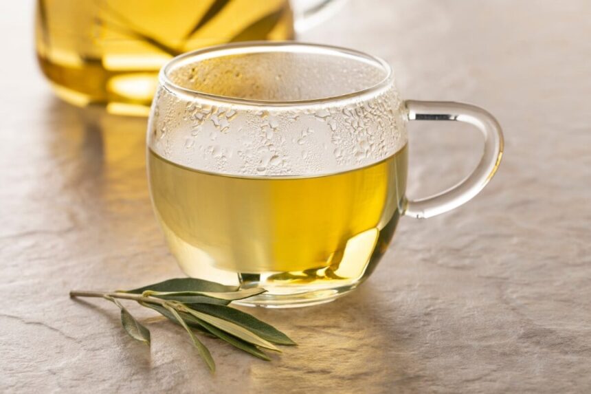 5 receitas de chá de oliveira para combater a gordura abdominal