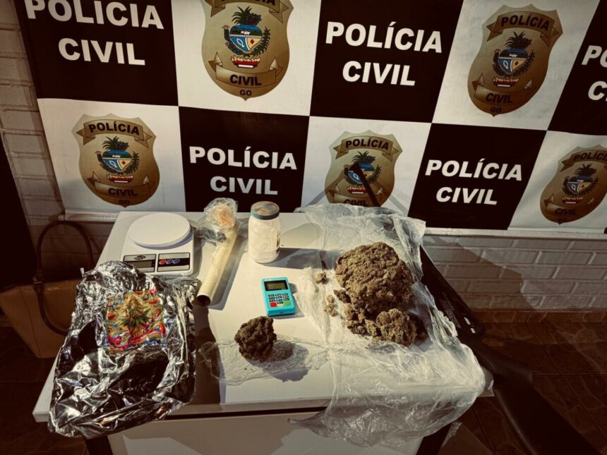 PCGO desarticula organização criminosa ligada ao tráfico de drogas e causa prejuízo de R$ 100 mil ao crime – Policia Civil do Estado de Goiás PCGO desarticula organização criminosa ligada ao tráfico de drogas e causa prejuízo de R$ 100 mil ao crime – Policia Civil do Estado de Goiás