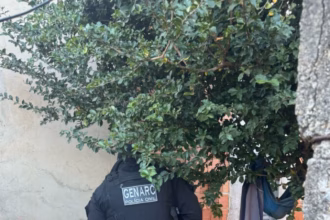 Polícia Civil prende investigado em flagrante por posse de arma de uso restrito e tráfico de drogas em Padre Bernardo