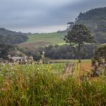 6 destinos para curtir o frio no Brasil