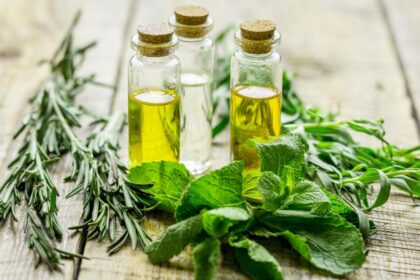 5 banhos para atrair prosperidade e abrir caminhos