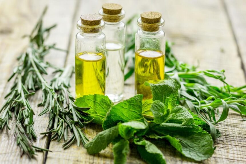 5 banhos para atrair prosperidade e abrir caminhos