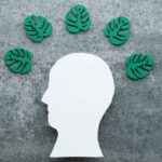 Entenda sentimento ligado à degradação do meio ambiente