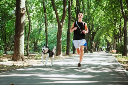 5 cuidados com animais que praticam atividade física