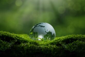 6 dicas para estudar sobre meio ambiente para o vestibular