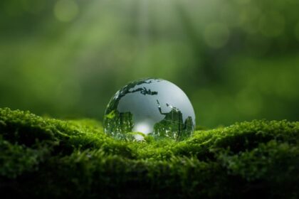 6 dicas para estudar sobre meio ambiente para o vestibular