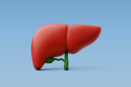 Veja as causas e como prevenir a gordura no fígado