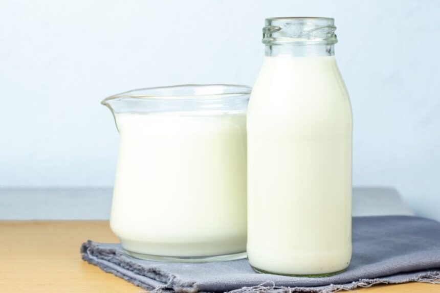 5 mitos e verdades comuns sobre o leite 5 mitos e verdades comuns sobre o leite