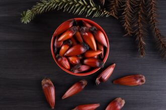 5 benefícios do pinhão para a saúde