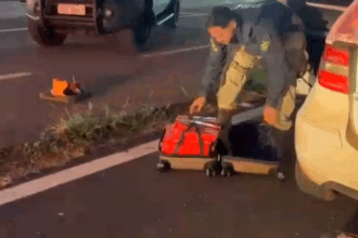 PRF apreende 140 Kg de maconha na BR-050