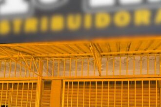 Operação conjunta flagra furto de energia em Águas Lindas – Policia Civil do Estado de Goiás