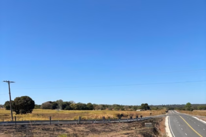 Polícia Civil prende em flagrante investigado que ateou fogo em rodovia de acesso ao povoado de Luiz Alves – Policia Civil do Estado de Goiás