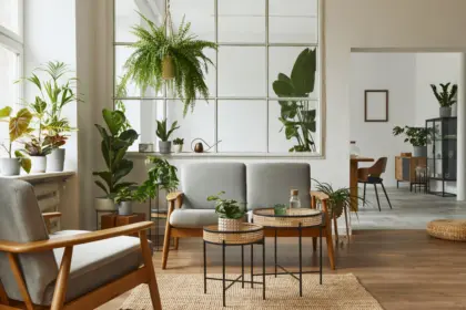3 dicas para transformar os ambientes com plantas na decoração