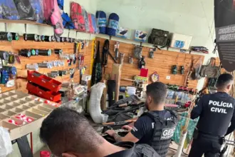 PCGO apreende 14 armas de fogo e prende 6 pessoas por porte ilegal de armas no sudoeste goiano – Policia Civil do Estado de Goiás