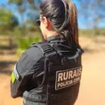 Operação Pasto Vazio investiga furto de mais de 150 cabeças de gado; animais tiveram brincos de identificação retirados