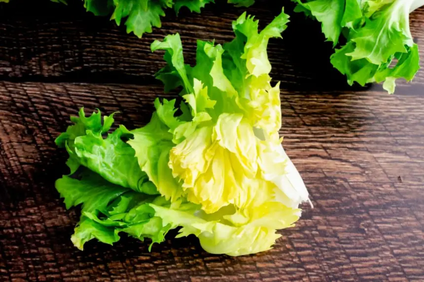 5 benefícios da escarola para a saúde