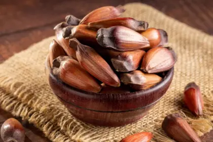 5 benefícios do pinhão para a saúde e como consumi-lo