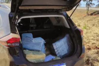 Cerca de 200 kg de maconha são apreendidos na BR-060