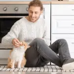 7 maneiras eficientes de chamar o gato 