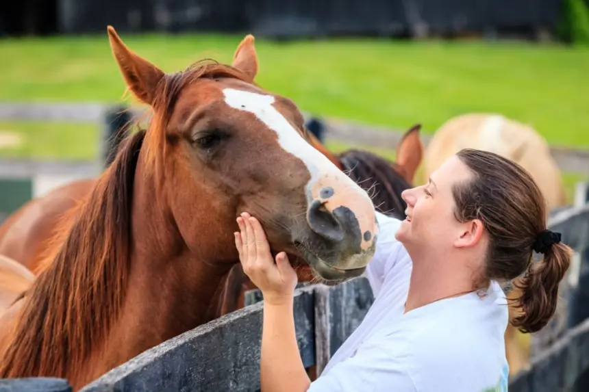 Veja os benefícios da equoterapia para a saúde física e mental