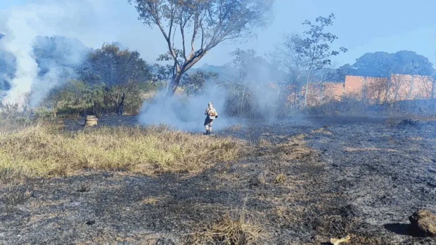 Goiás decreta situação de emergência ambiental por risco extremo de queimadas