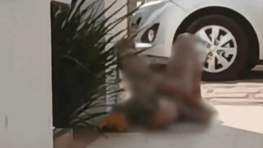 Homem é preso por importunação sexual após se masturbar em via pública no centro de Goianésia Homem é preso por importunação sexual após se masturbar em via pública no centro de Goianésia