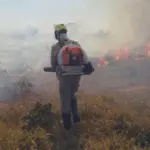 Incêndio florestal atinge área rural de Vila Propício e mobiliza Bombeiros de Goianésia