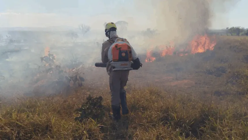 Incêndio florestal atinge área rural de Vila Propício e mobiliza Bombeiros de Goianésia