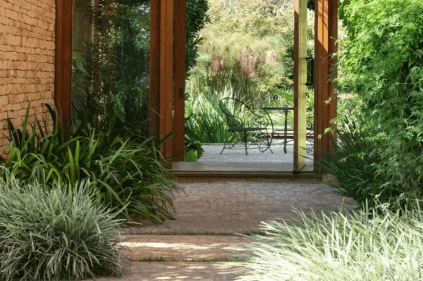 5 cuidados essenciais com as plantas no inverno