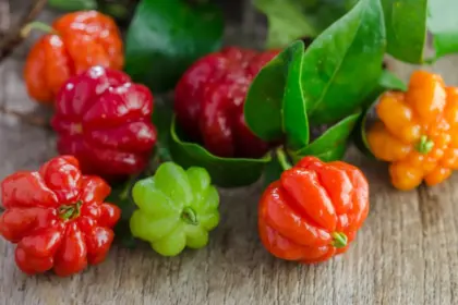 5 benefícios da pitanga para a saúde 