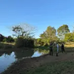 Polícia Civil investiga crime ambiental após despejo de soro em córrego de Palminópolis