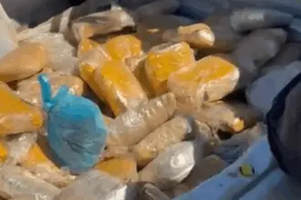 PRF e Polícia Militar Rodoviária apreendem veículo carregado com 90 kg skunk na BR-060