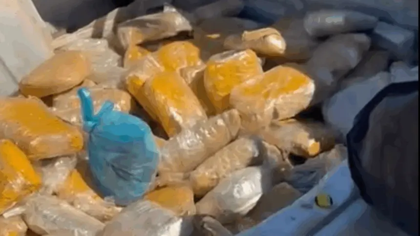 PRF e Polícia Militar Rodoviária apreendem veículo carregado com 90 kg skunk na BR-060