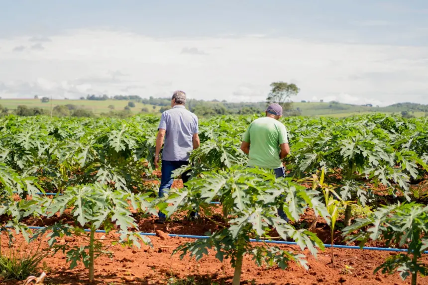 Secretaria de Agricultura de Goianésia já atendeu mais de 850 pequenos produtores em 2025 e se destaca pelo apoio ao campo