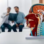 6 tipos de câncer de cabeça e pescoço