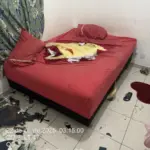 PCGO prende homem que destruiu vários bens da casa de sua companheira e evita feminicídio, em Águas Lindas – Policia Civil do Estado de Goiás