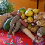 Seapa divulga resultado preliminar do PAA Quilombola 2025 – Portal Goiás