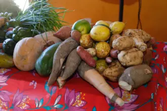 Seapa divulga resultado preliminar do PAA Quilombola 2025 – Portal Goiás