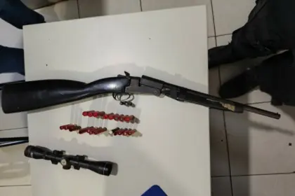 PCGO apreende arma de fogo e munições de investigado por violência doméstica – Policia Civil do Estado de Goiás