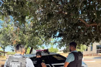 PCGO cumpre prisão preventiva, buscas e apreende arma de fogo de autor de violência doméstica, em Campos Verdes