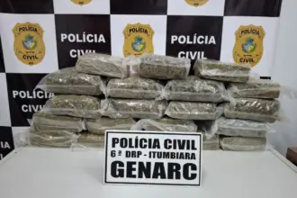 PCGO intercepta carregamento de “supermaconha” avaliado em R$ 500 mil – Policia Civil do Estado de Goiás