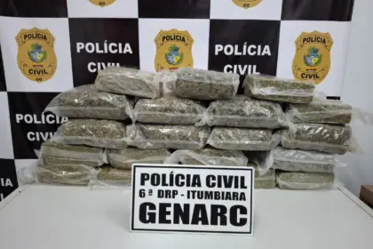 PCGO intercepta carregamento de “supermaconha” avaliado em R$ 500 mil – Policia Civil do Estado de Goiás